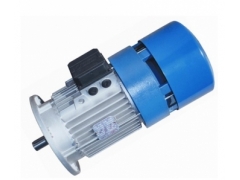 COEL F series brake motor