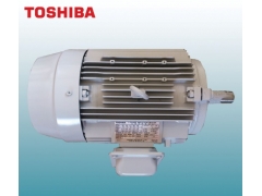 TOSHIBA BRAKE MOTOR