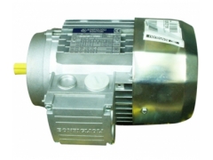 Bonfigloli Group Motor