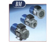 MGM BM series motor