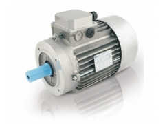 MOTOVARIO T series motor