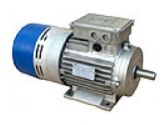 MT series motor