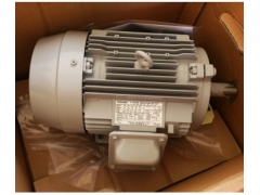 TOSHIBA series motor