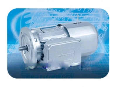 Bonfigloli Group Brake motor