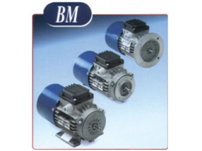 MGM BM series motor