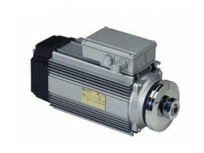 SEIPEE HPZ series motor